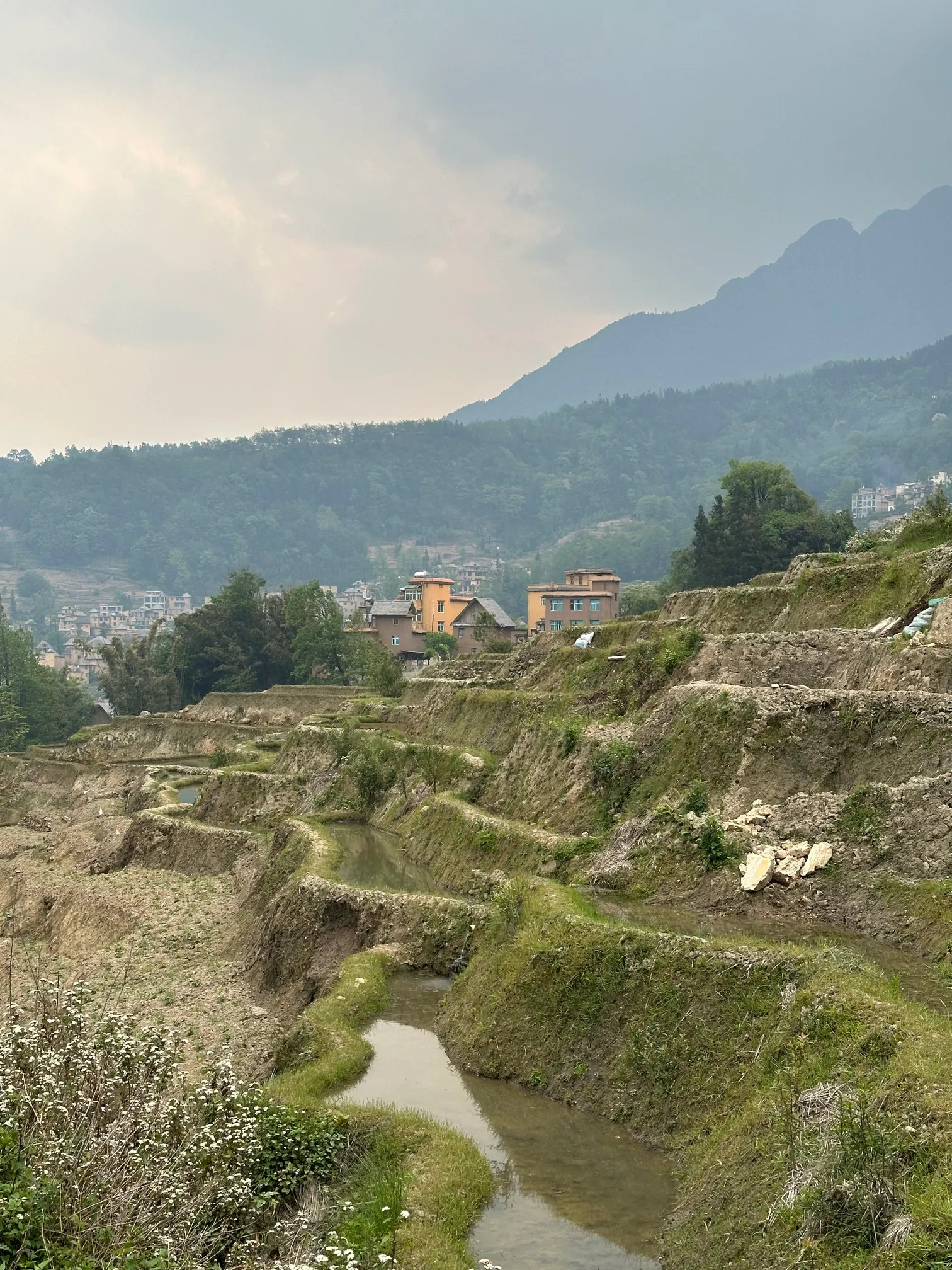 Walking through the rice paddies