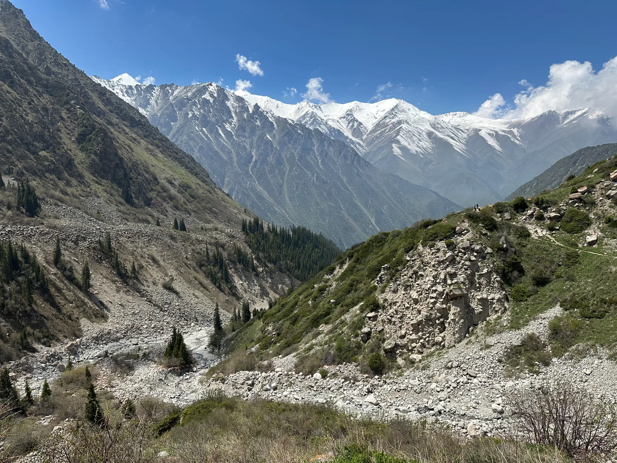 Landscape with a mountain 