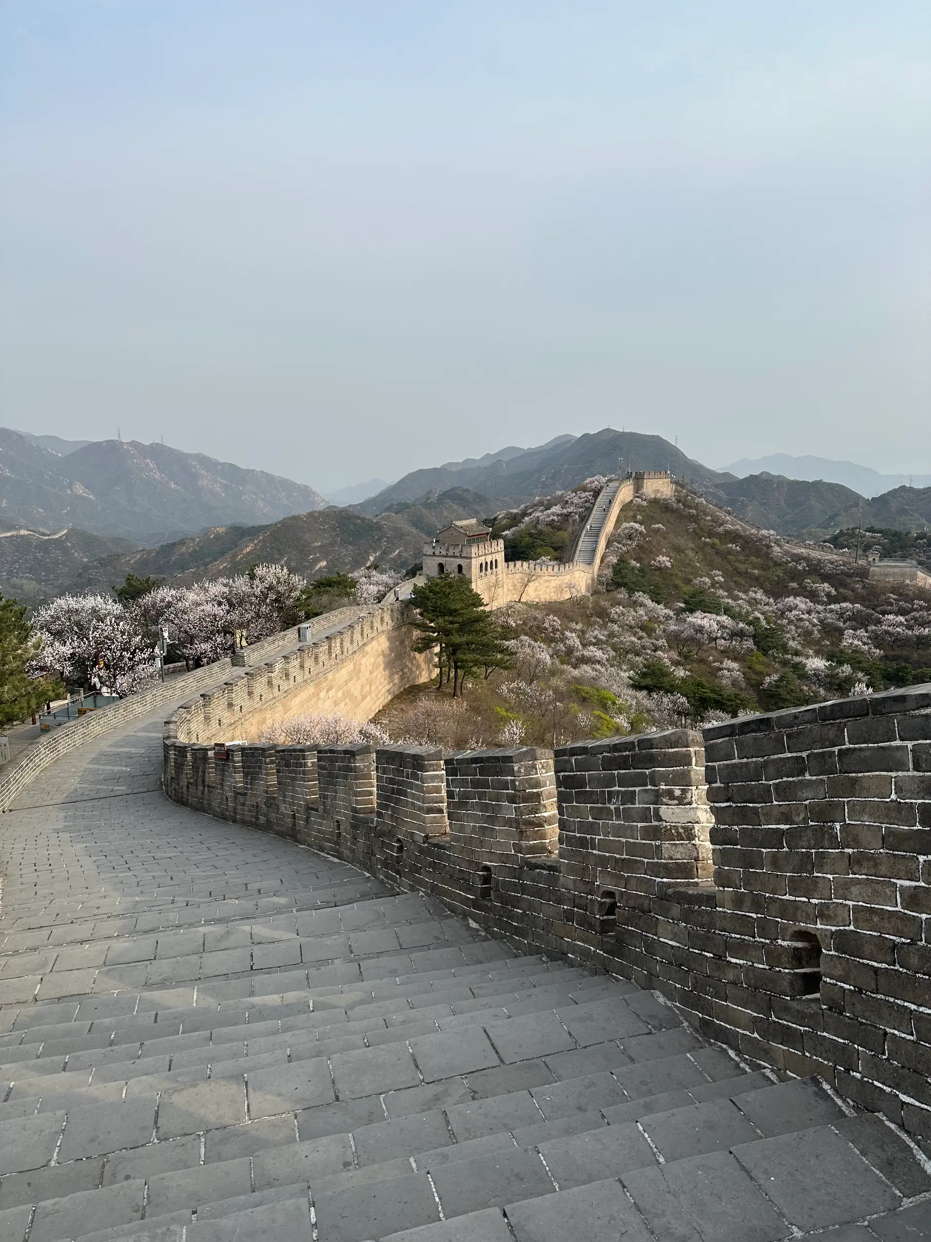 Close up of the wall