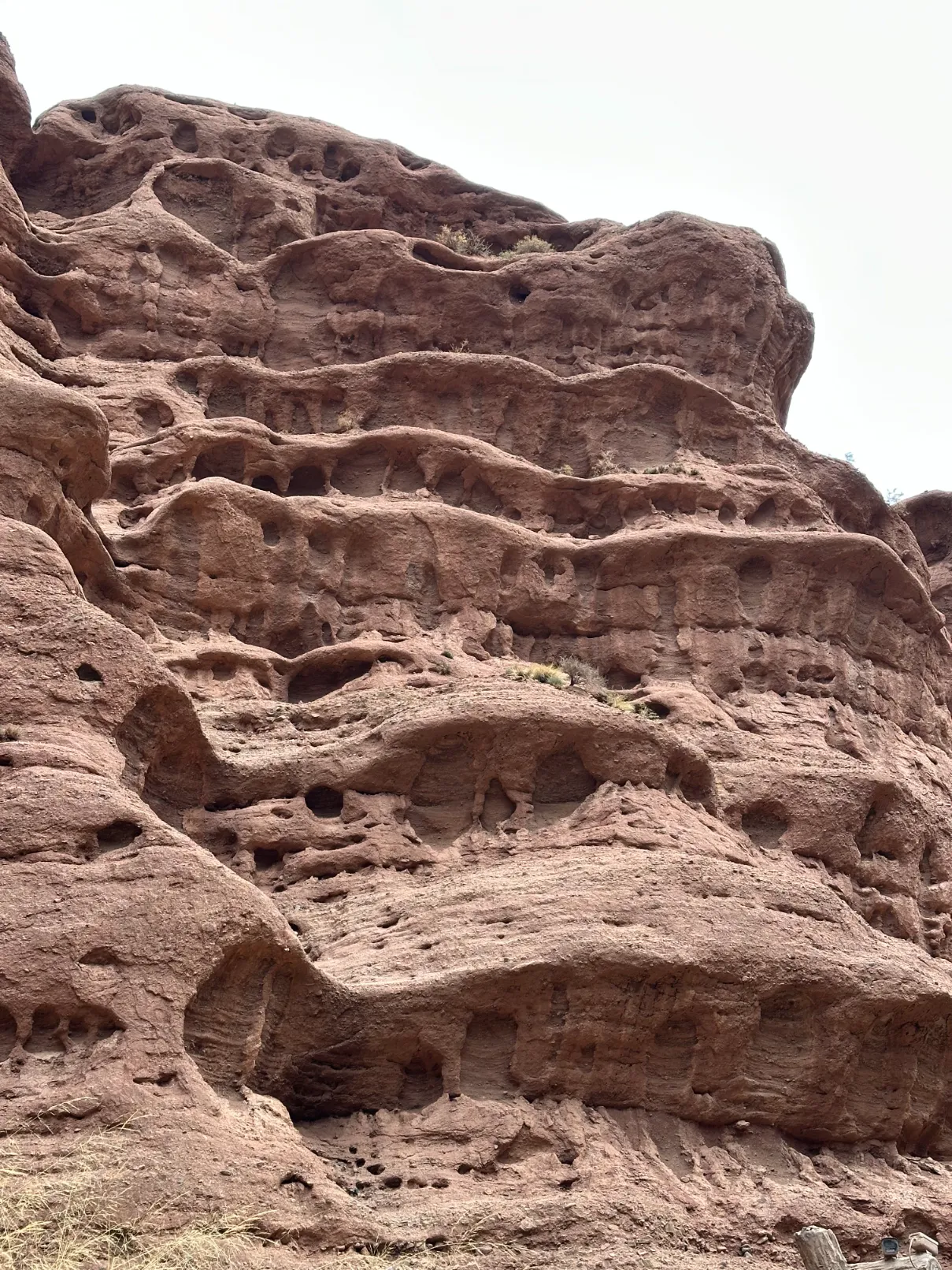 Layered rocks in the canyon wall