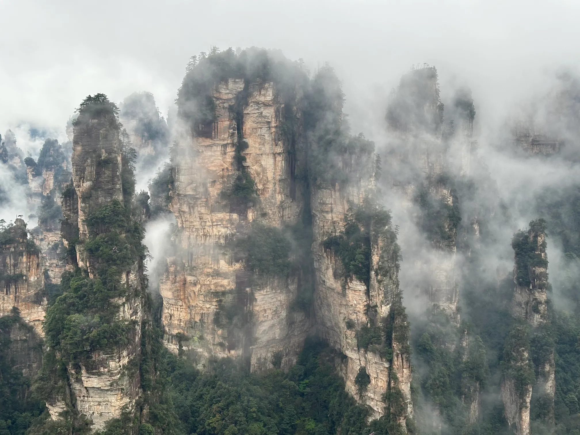 Avatar mountains in the mist