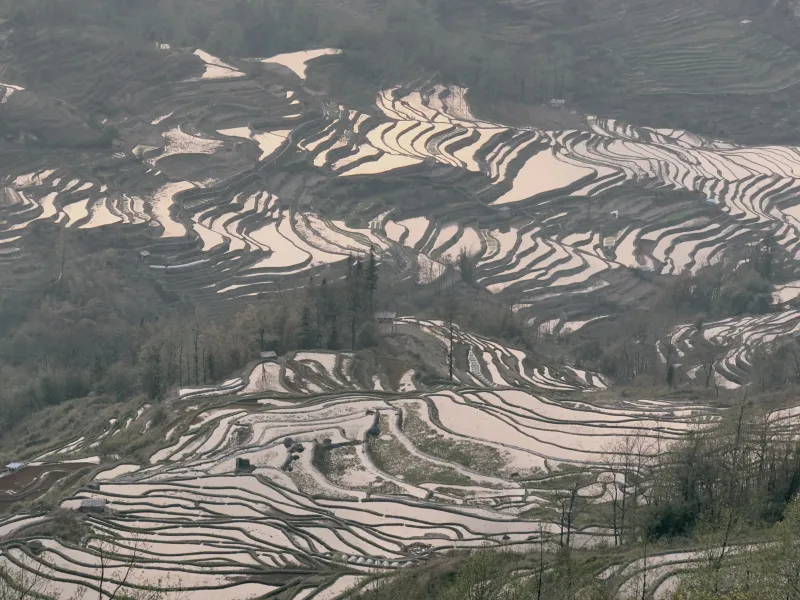 Rice paddies on the mountain