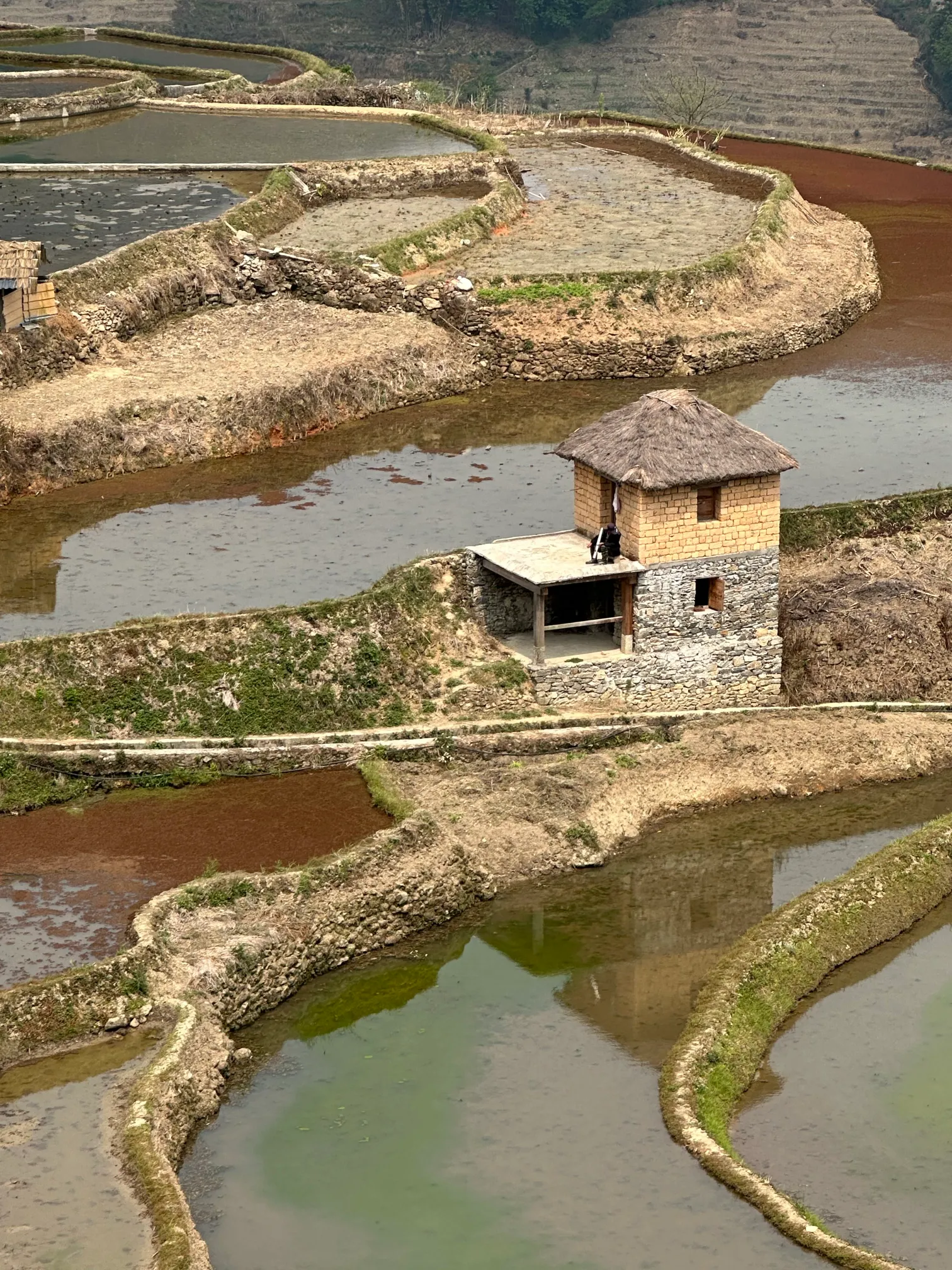 House in the rice paddies