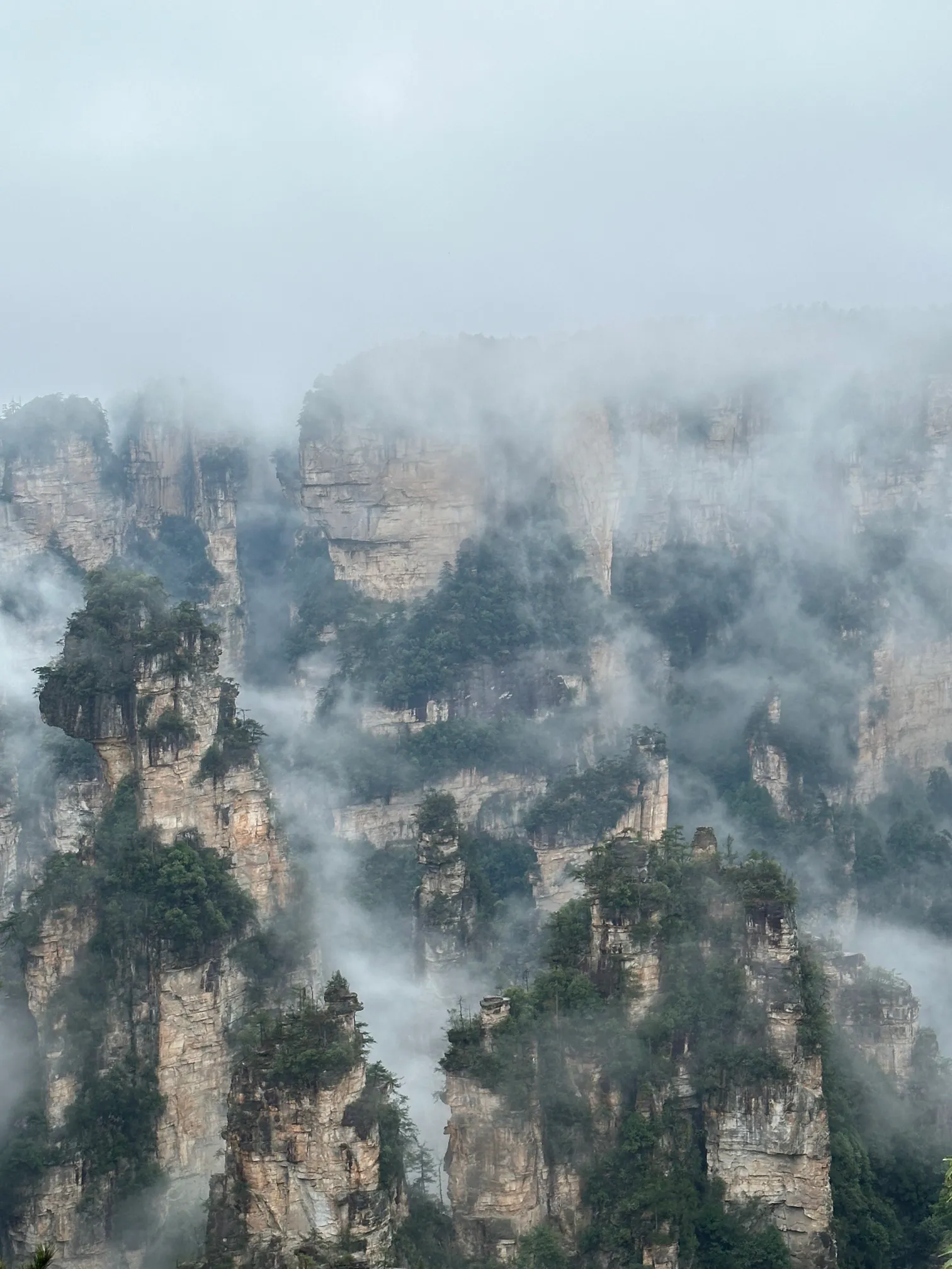 Mountain in the mist portrait