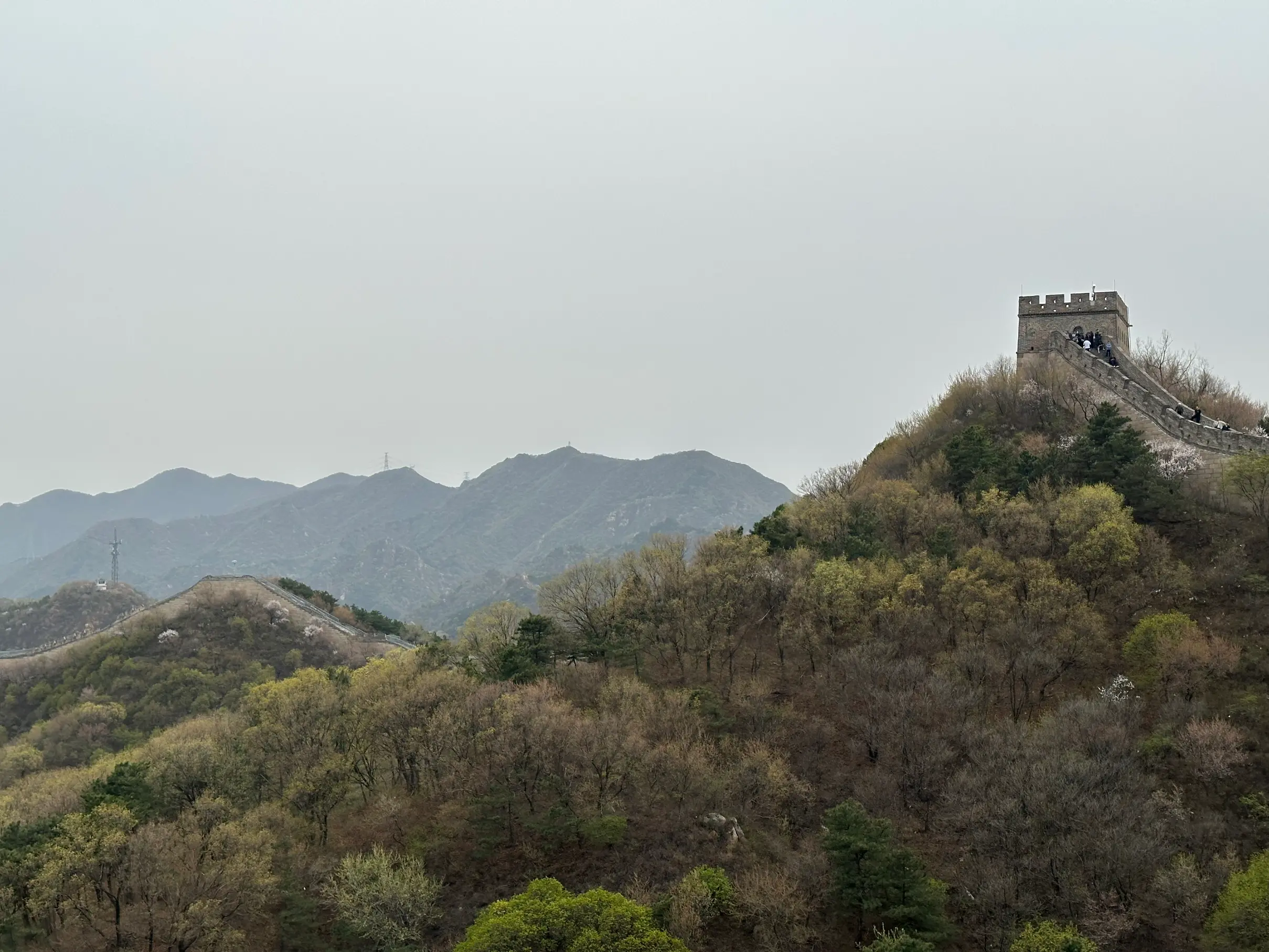 Wall landscape