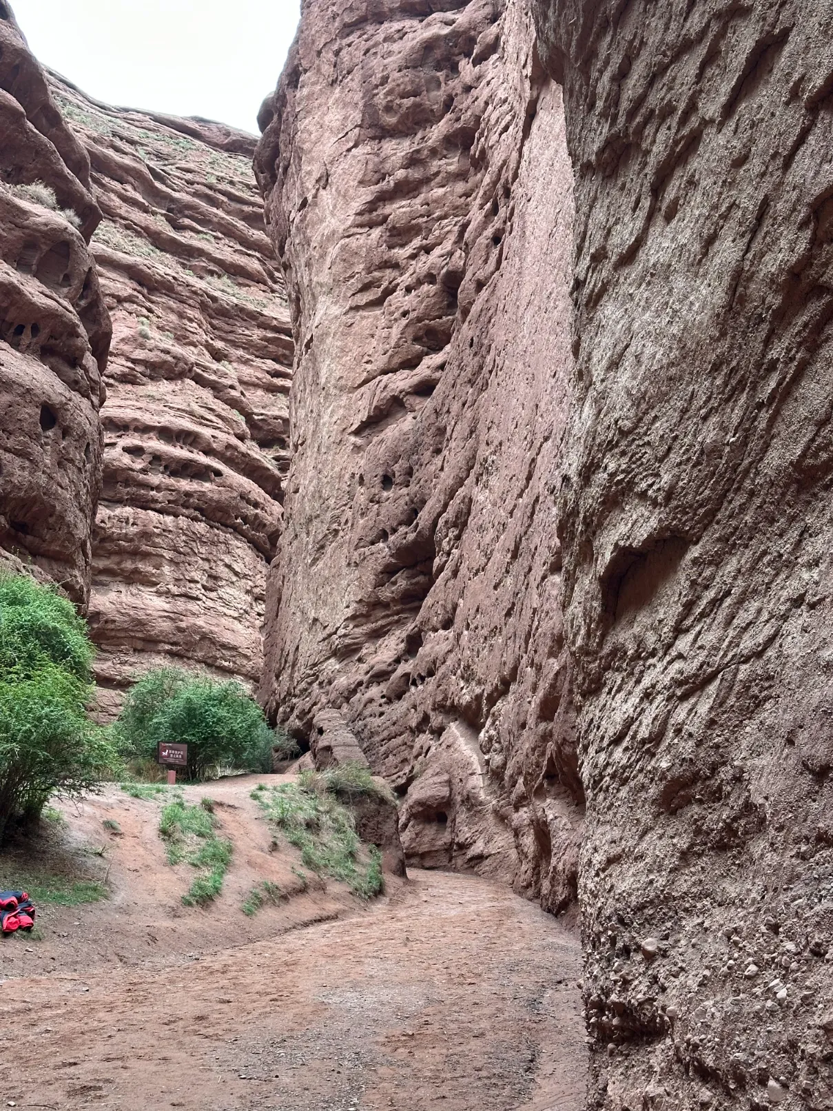 View from the canyon