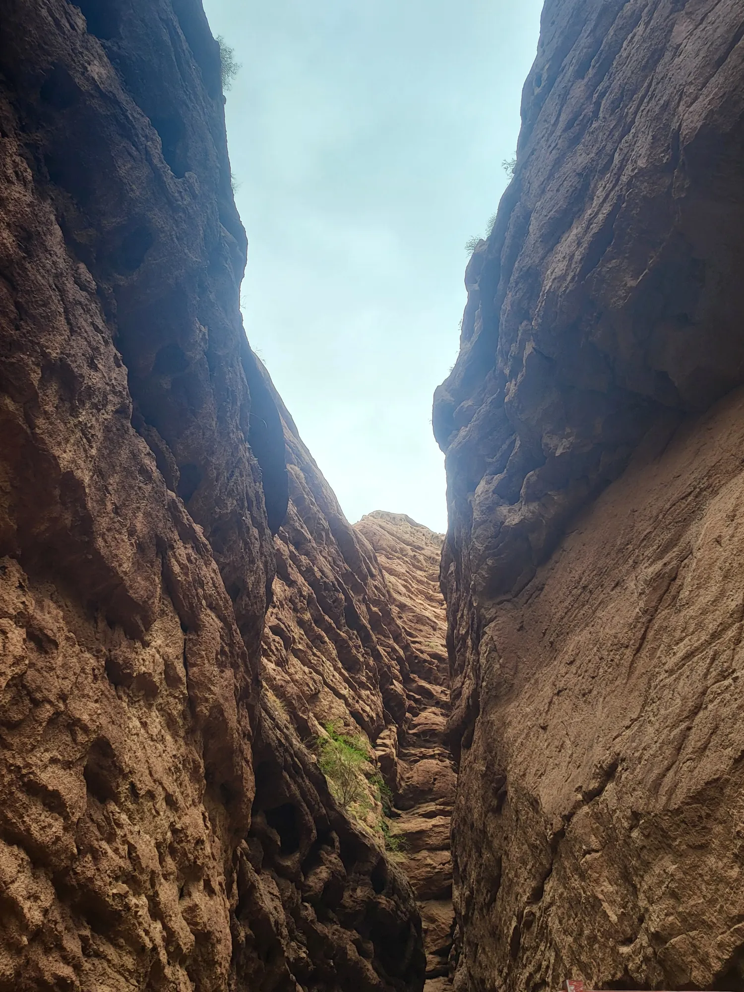 View from the canyon