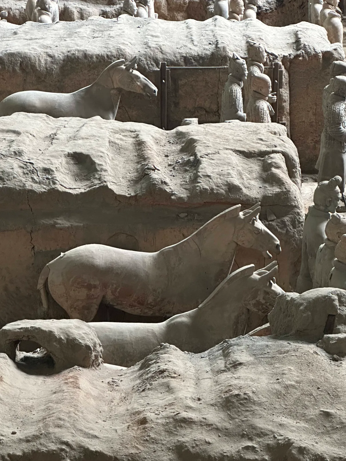 Terracotta Warriors horse statues