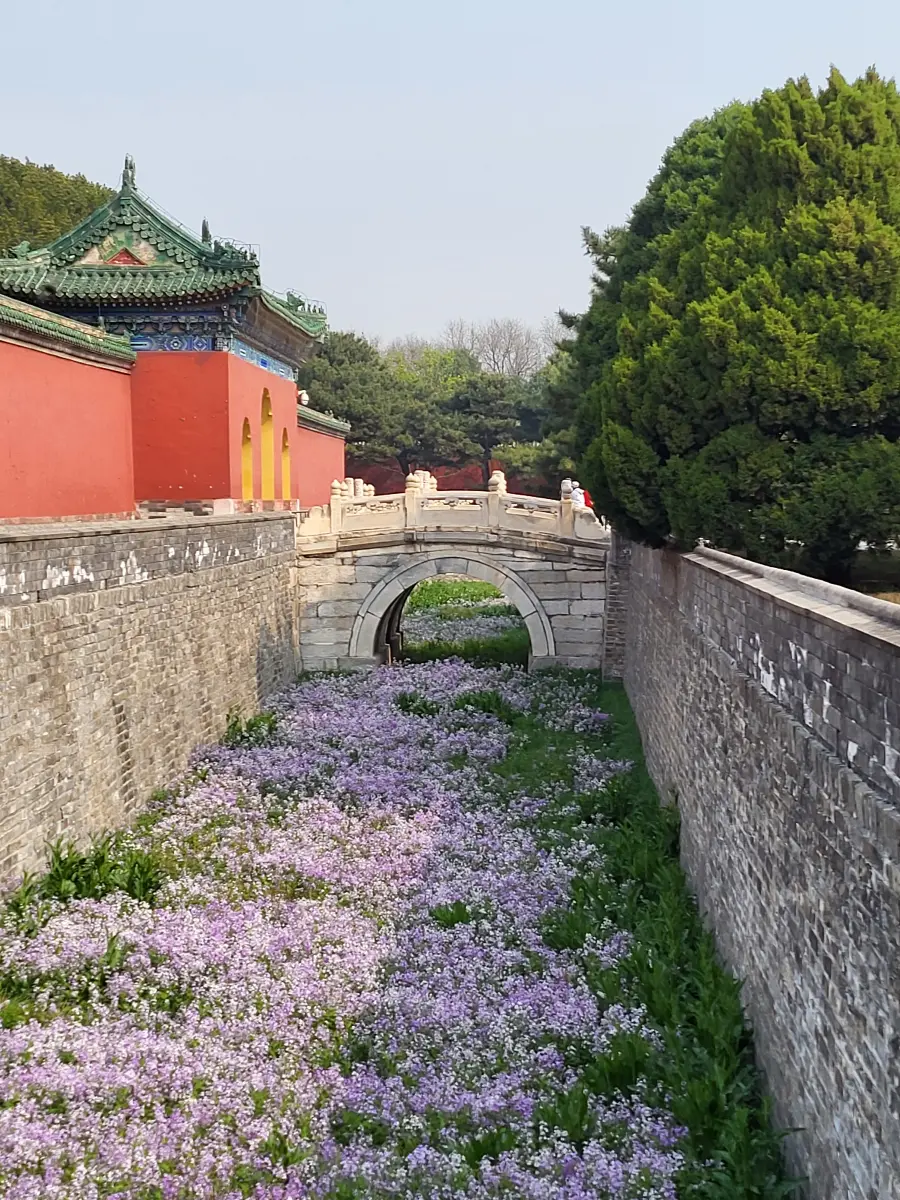 Bridge with flowers