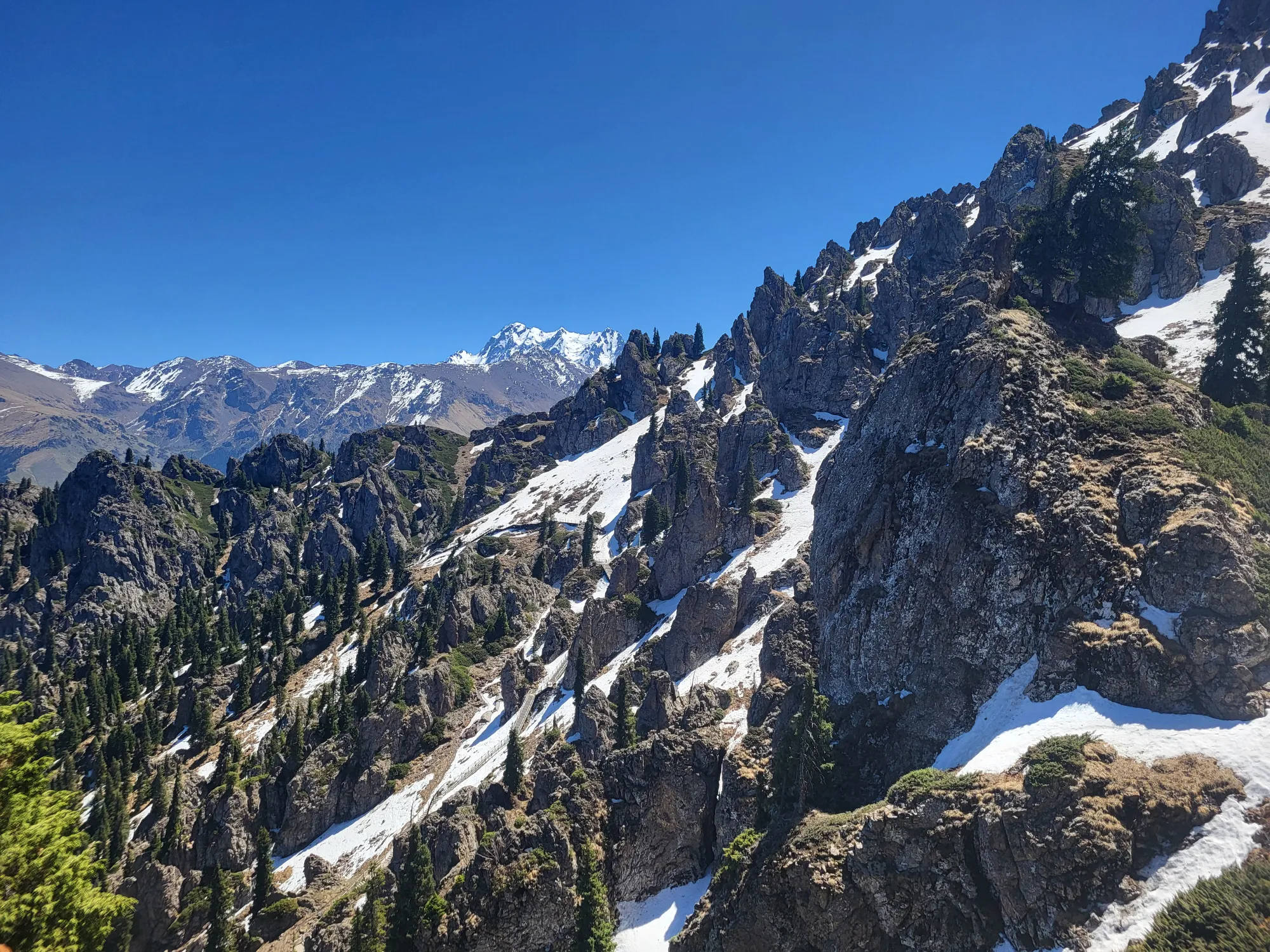 Snow mountains with pine trees
