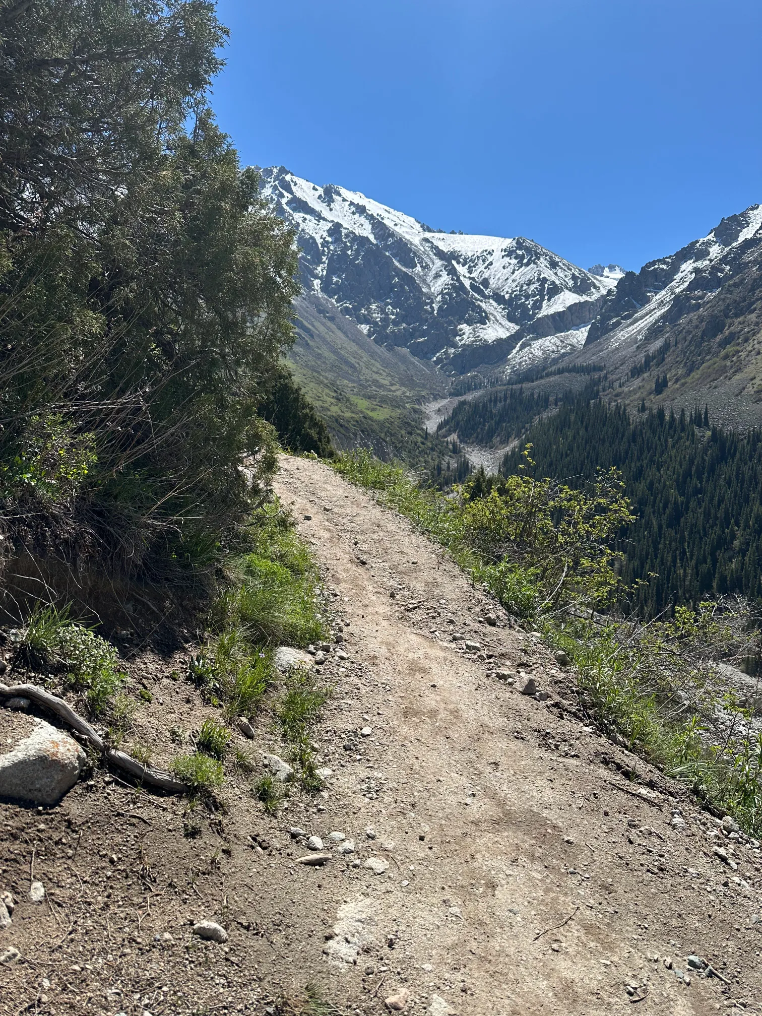Mountain view with a trail