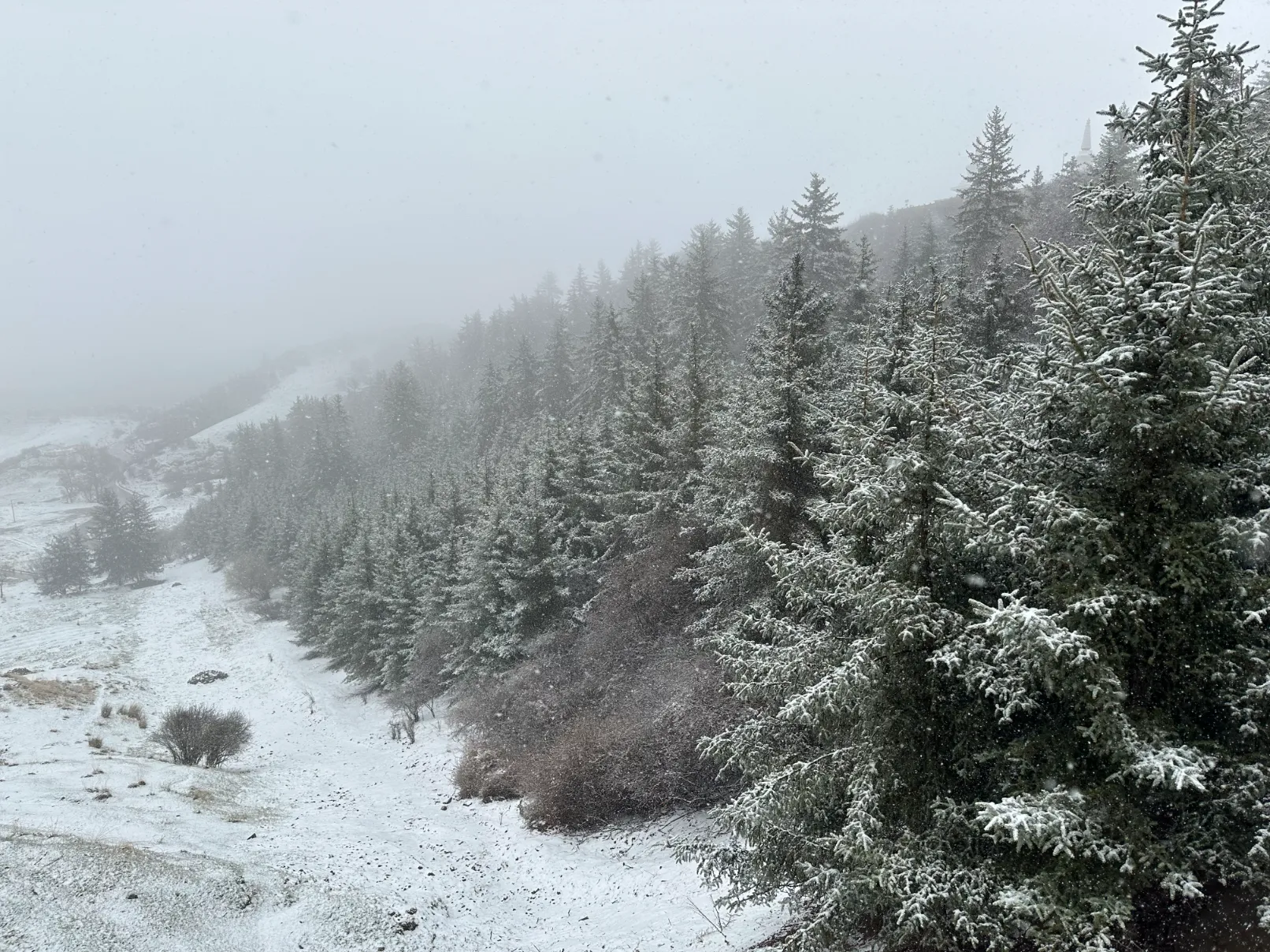 Snowy view from the temple