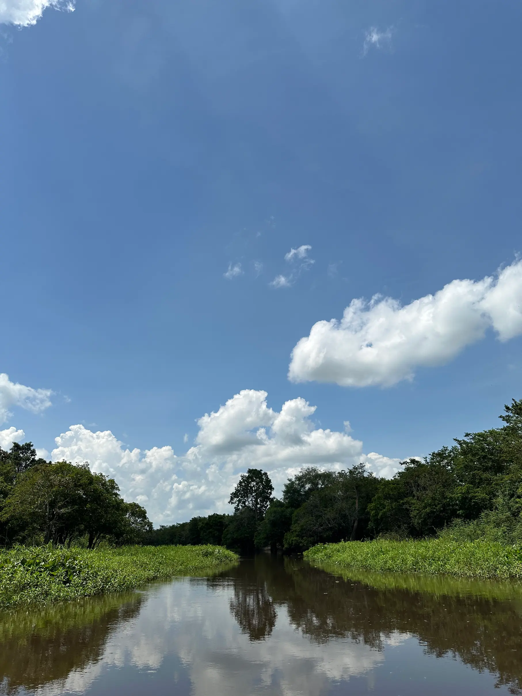 Mahakam river