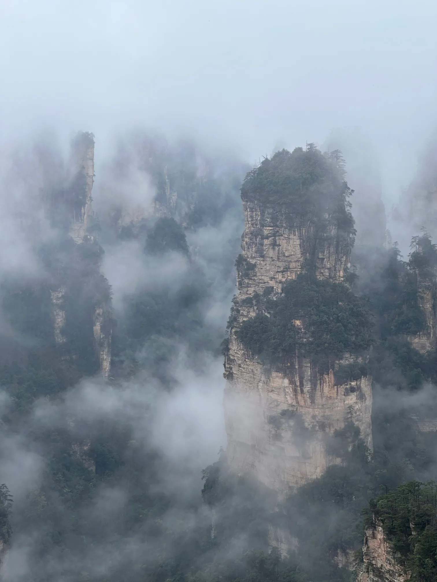 Avatar moutains portrait