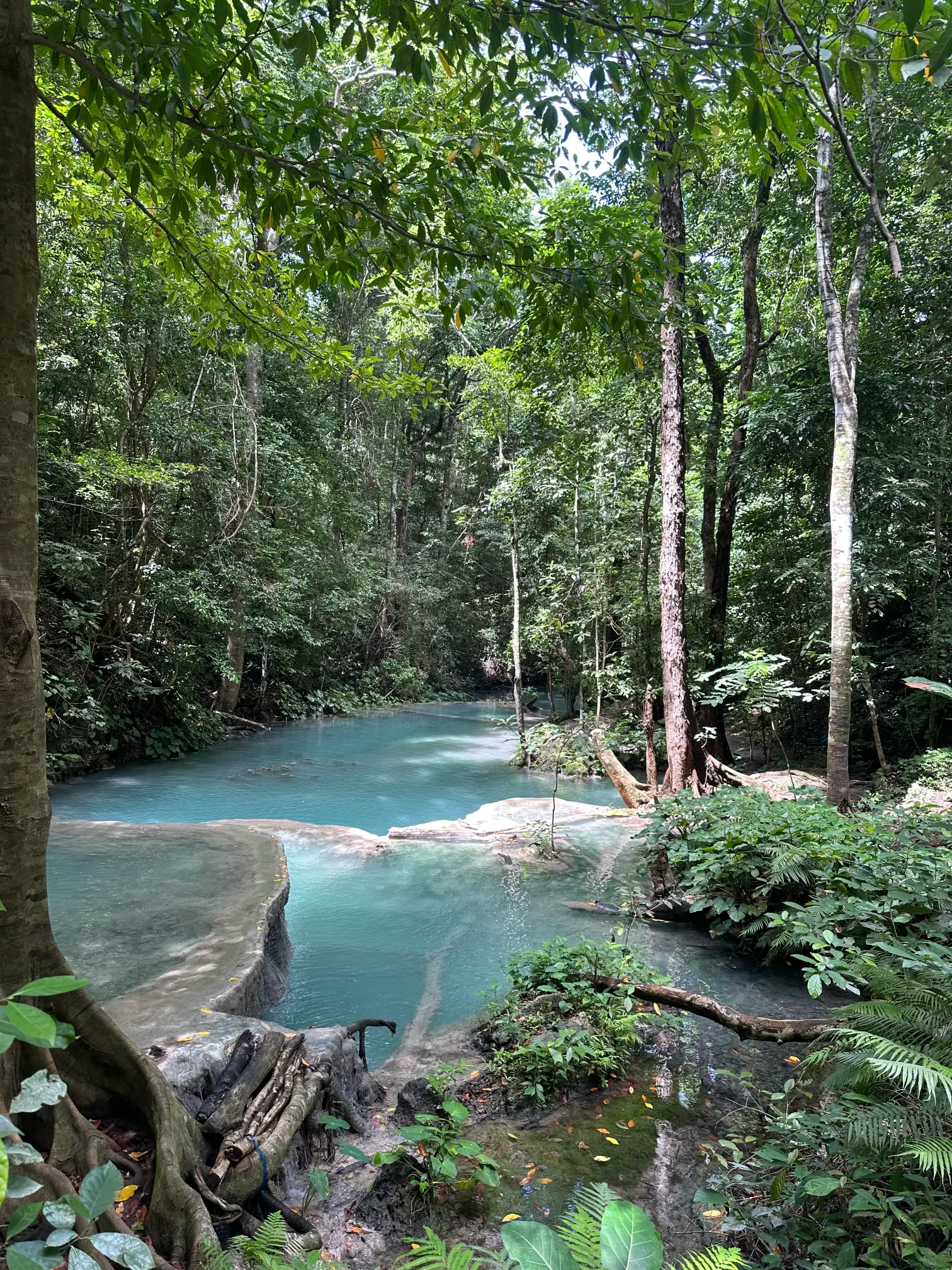Waterfall view of pools