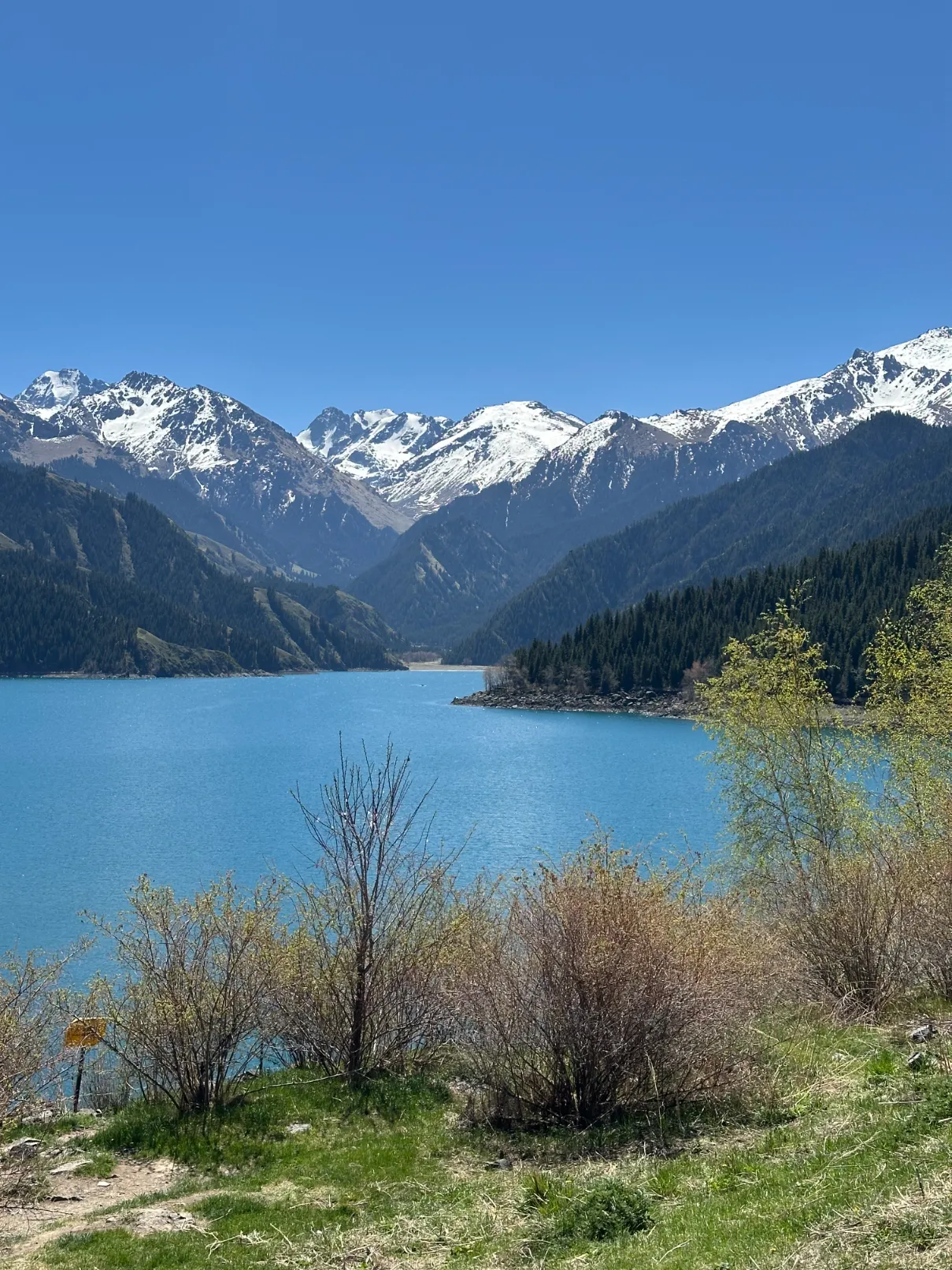 Tianshan Heavenly Lake