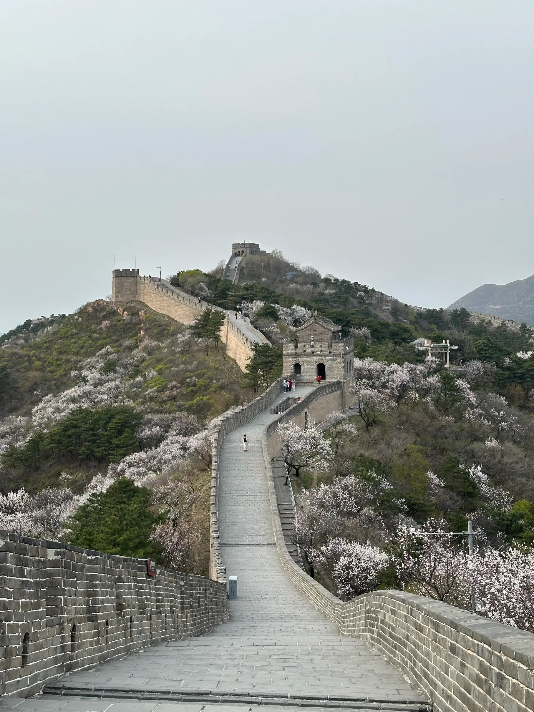 Wall as seen from the wall