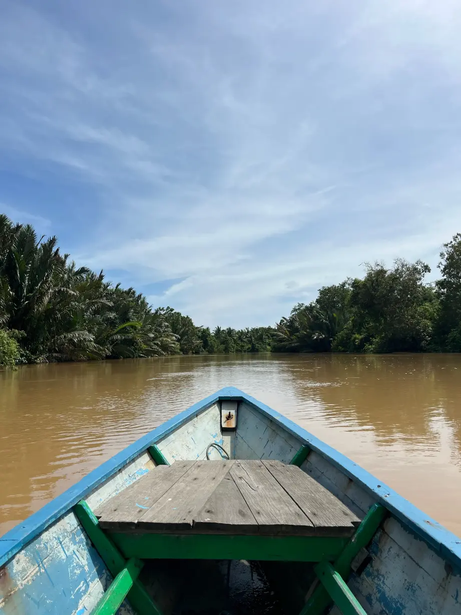 Mahakam from the boat