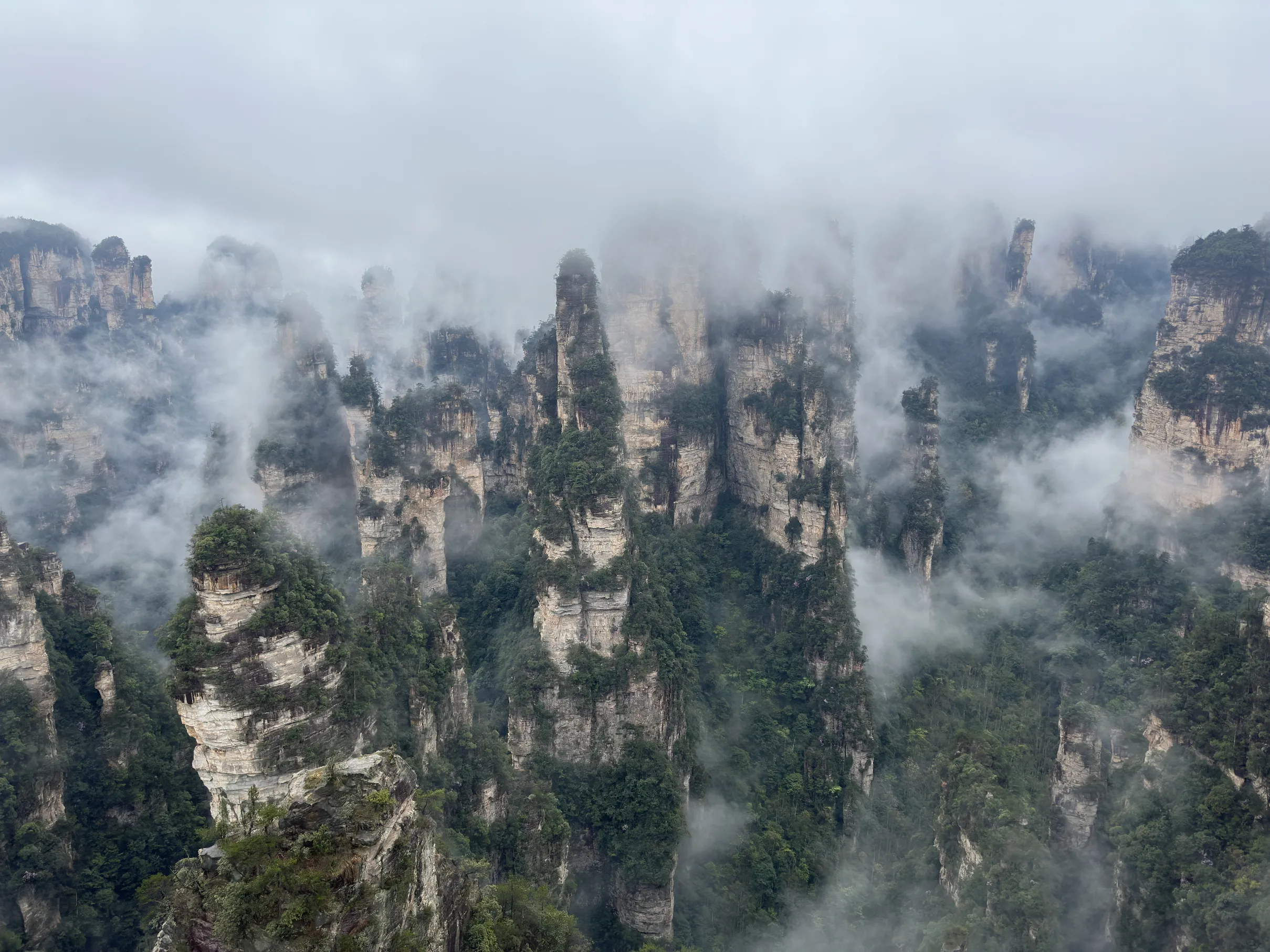 Mountain in the mist landscape