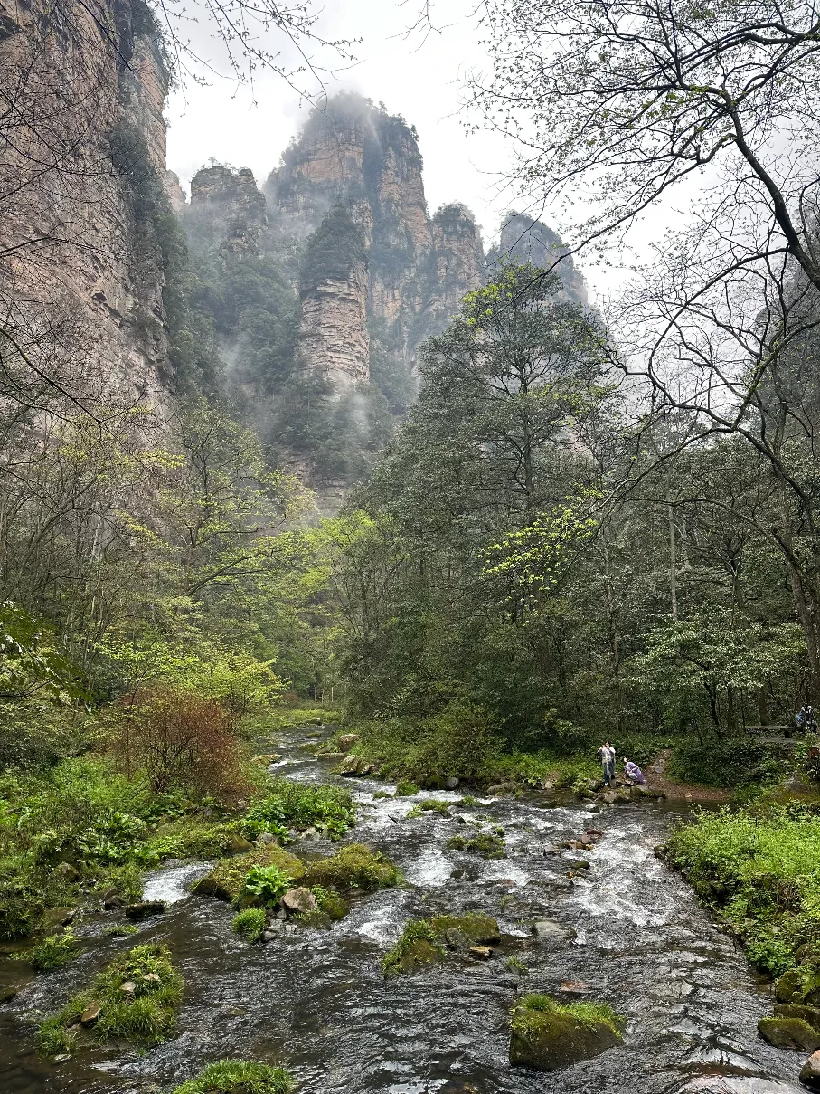 River view with mountains