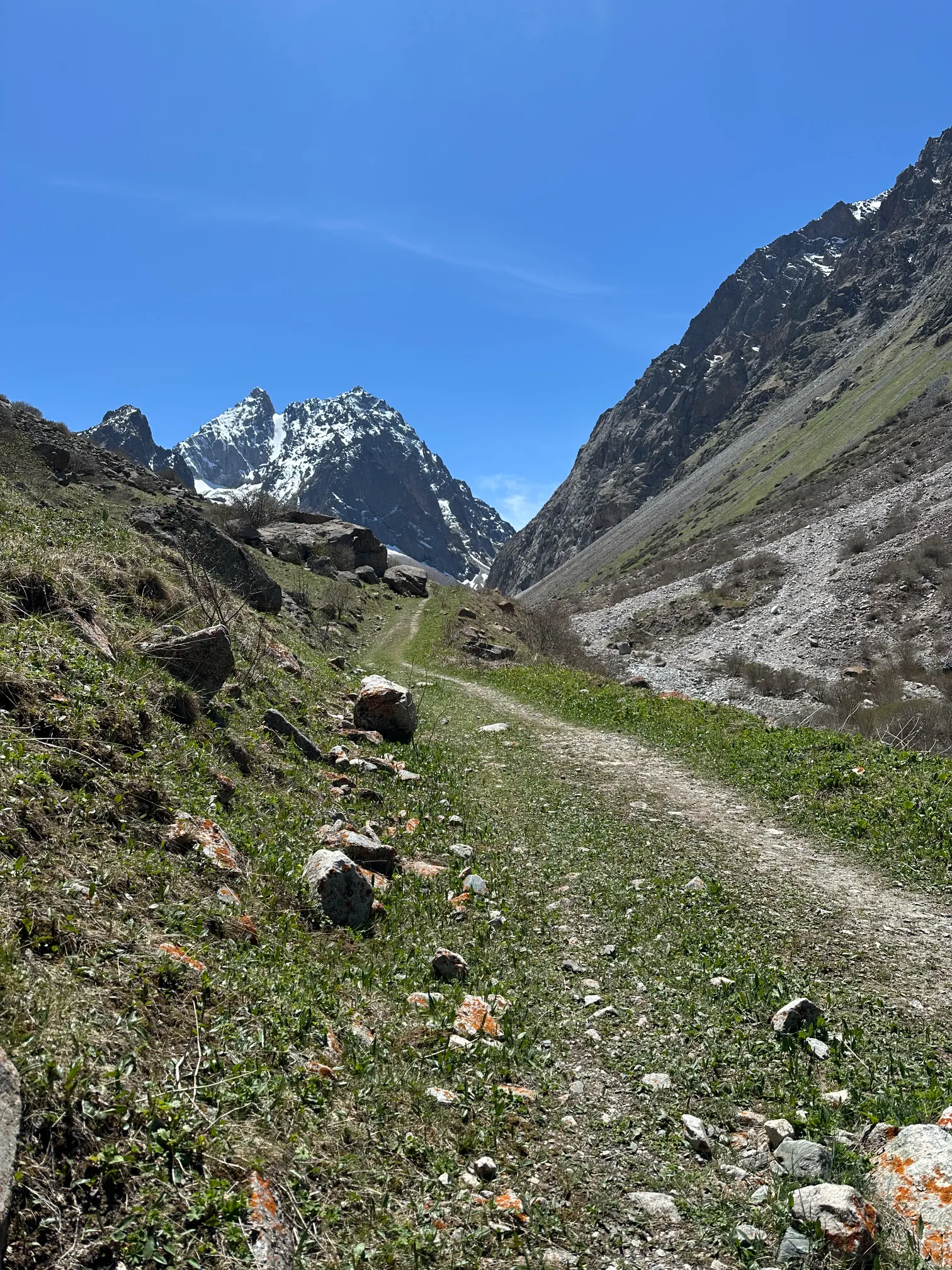 Path leading to a mountain