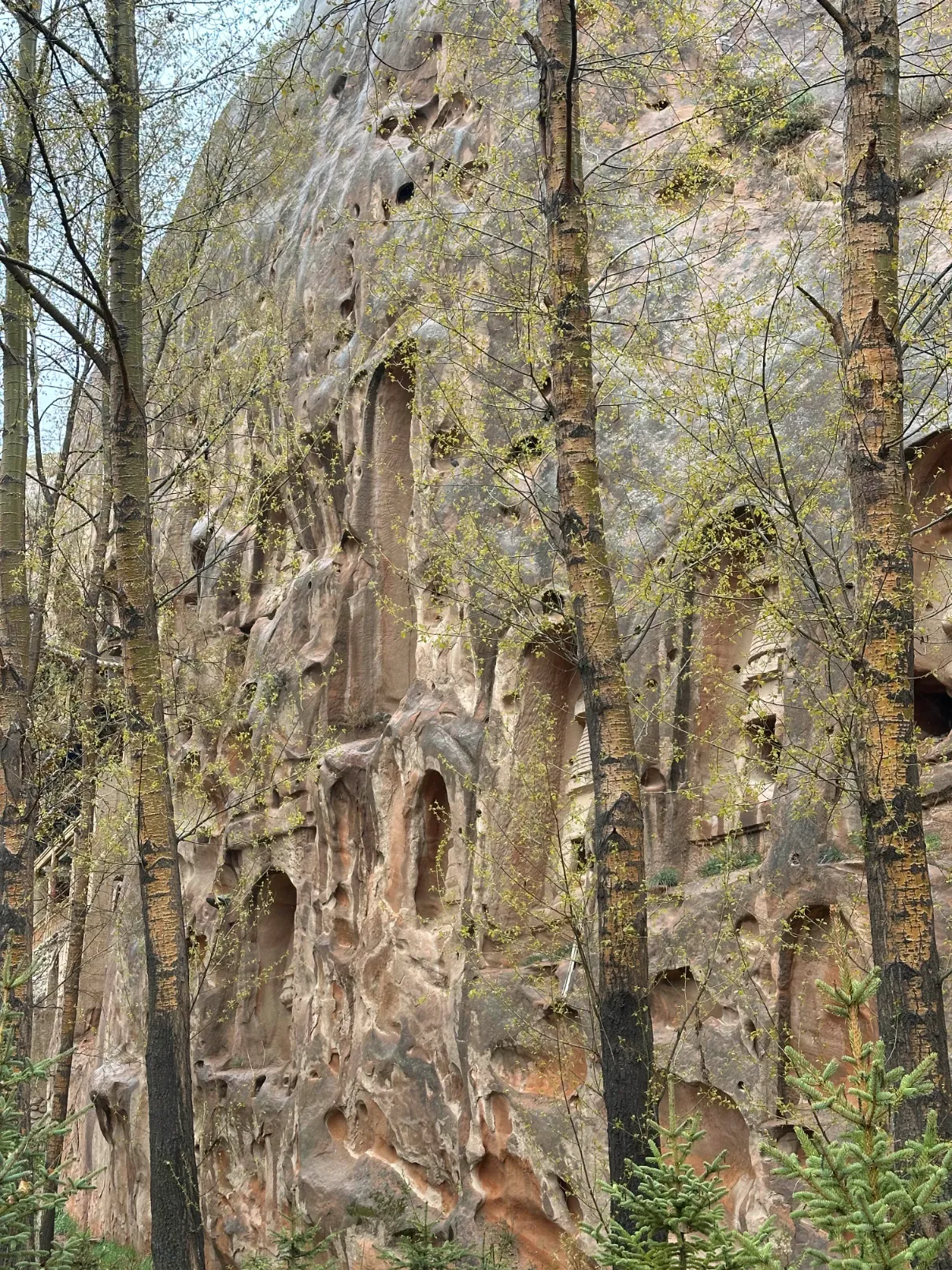 Temples in the cliff wall