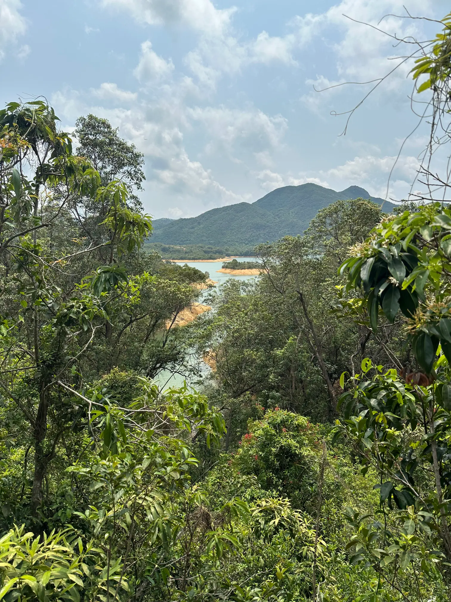 Tai lam chung resevoir view with trees