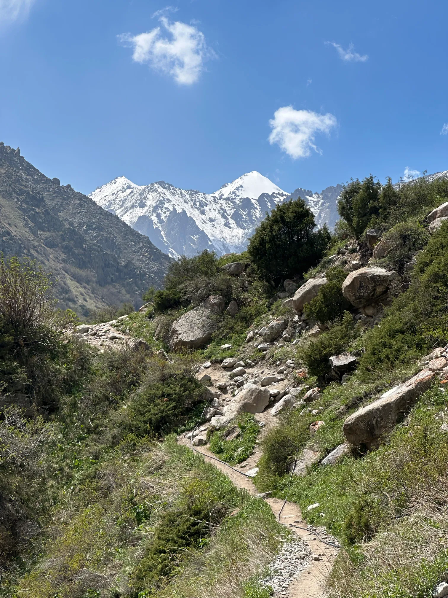 Mountain view with a trail
